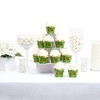 Big Dot of Happiness Tiki Luau - Tropical Hawaiian Summer Party Decorations - Party Cupcake Wrappers - Set of 12 - 2 of 4