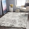 Hauteloom Dawesville Gray White Shag Area Rug - 4 of 4