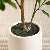 Kazeila Artificial Plastic Lemon Tree in Pot, Pre Potted Faux Lemon Tree With Realistic fruits Perfect for Home Decor Outdoor - image 4 of 4