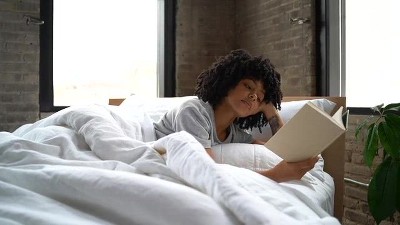 Twin/Twin XL Putty Heather Linen Duvet Cover & Sham Set