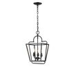 Millennium Lighting 3 - Light Pendant in  Matte Black - 2 of 4