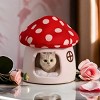 Racxily Comfortable Mushroom Cat House - Warm pet bed for all seasons, semi-enclosed, classic style, easy assembly - 2 of 4