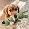 Plush Chew Toys for Large Dogs, Wolf Squeaky Dog Toys for Small Medium Large Dog, Durable Stuffed Pet Chew Toy for All Breeds - Large Size, Green - 4 of 4