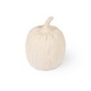 Large Terracotta Pumpkins Cream - Bullseye's Playground™ - 2 of 3
