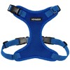 Voyager Step-In Lock Adjustable Dog & Cat Harness and 5ft Leash Combo - 2 of 4