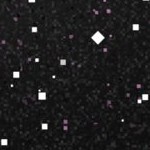 chicago white sox 1976-1981