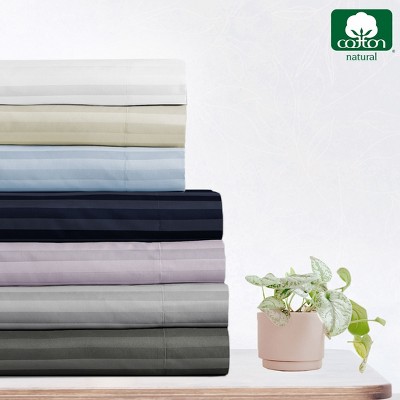 California King Bright White Cotton Deep Pocket Fitted Sheet Set