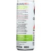 Celsius Watermelon Berry Non-Carbonated Energy Drink - Case of 12/12 oz - 3 of 4