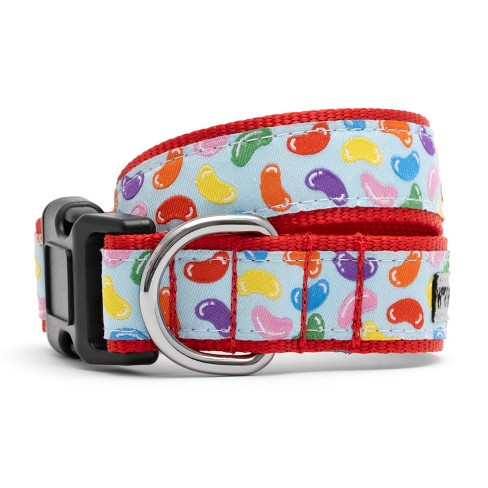 Basic Dog Adjustable Collar With Color Matching Buckle - Boots & Barkley™ :  Target