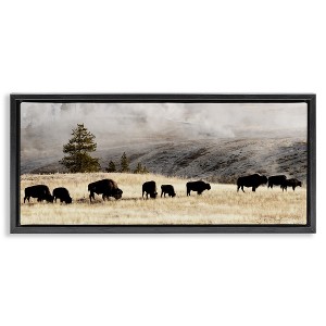 Stupell Industries Grazing Bison Foggy Countryside, 25" x 11" - 1 of 4