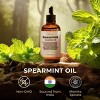 Gya Labs Spearmint Essential Oil - 4 Fl Oz - for Hair, Skin, Diffuser, Aromatherapy & DIY Candle Making Scent - 4 of 4