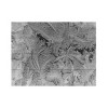 Trademark Fine Art Kurt Shaffer Love and Gratitude Wood Slat Art - 3 of 4