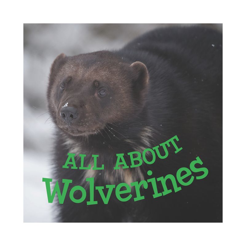 All about Wolverines - (Nunavummi Reading) by  Jordan Hoffman (Paperback), 1 of 2