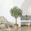 DR.Planzen 5-8FT Lush Artificial Olive Tree - UV Resistant Fake Plant with Black Fruits in 7x8" Black Pot for Indoor/Outdoor House & Floor Decor - 4 of 4