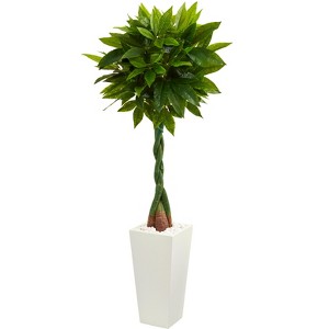 Nearly Natural 5.5-ft Money Artificial Tree in White Tower Planter (Real Touch) - 1 of 1