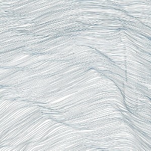 Qasim Naqvi & Wadada Leo Smith & Andrew Cyrille - Two Centuries (Clear Vinyl) - 1 of 1