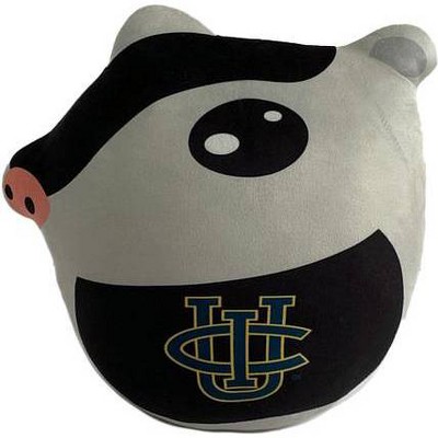 NCAA UC Irvine Anteaters Plushie Mascot Pillow: Sports Team Logo Novelty Pillow
