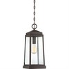 Quoizel Lighting Ravenel 1 - Light Pendant in  Western Bronze - 2 of 4