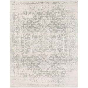Worsham Traditional Rug - Artistic Weavers - 1 of 4