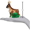 Old World Christmas Glass Blown Christmas Ornament For Christmas Tree, Boxer Dog - 4 of 4