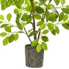 HomeStock  3.25 ft. Artificial Ficus Tree in Pot for Indoor/Outdoor - 3 of 4