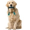 Flipo Ruff & Ready Trio DOG TRAINING Chew & Tug Toy  - Perfect For Tug O War - Blue - 3 of 3