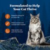 Blue Buffalo Wilderness Wild Delights High Protein Grain Free Natural Adult Meaty Morsels Wet Cat Food with Chicken & Turkey - 3oz - 4 of 4