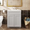 LOVMOR 24"W*21"D*34.5"H in Plywood Soft-Close Bath Vanity Cabinet without Top for Kitchen, Bathroom, Living Room - 2 of 4