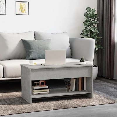 Modern Lift-Top Coffee Table in Concrete Gray Engineered Wood with Hidden Storage