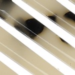 tortoiseshell