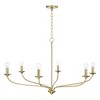 Capital Lighting Dolan 6 - Light Chandelier in  Matte Brass - 2 of 4