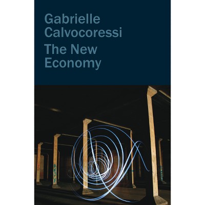 The New Economy - (Hardcover)