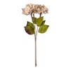 Vickerman 17" Hydrangea Spray - image 2 of 2