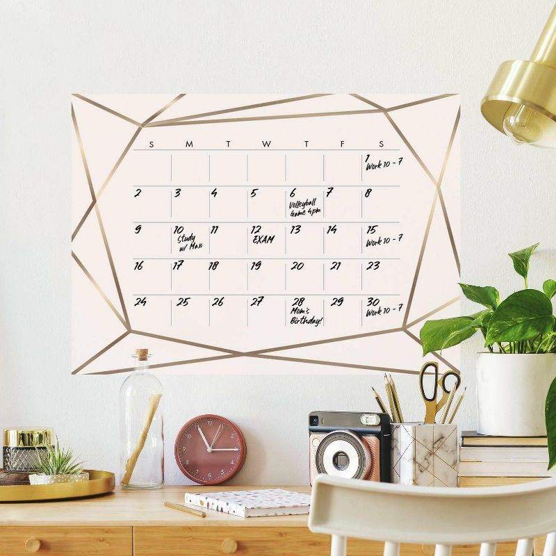 Blush Beauty Dry Erase Calendar Peel and Stick Giant Wall Decal Pink/Gold - RoomMates, 3 of 6