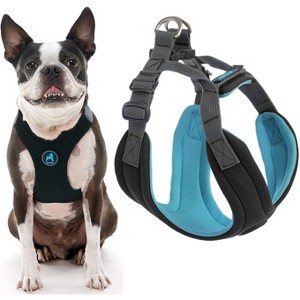 Gooby Convertible Harness, Small Dog Step in Neoprene Harness with Easy Neck Fastener, Black, Small - 1 of 1