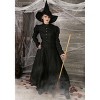 HalloweenCostumes.com Womens Plus Size Witch Costume - 4 of 4