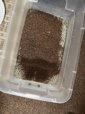 Guest review image 1 of 3, zoom in