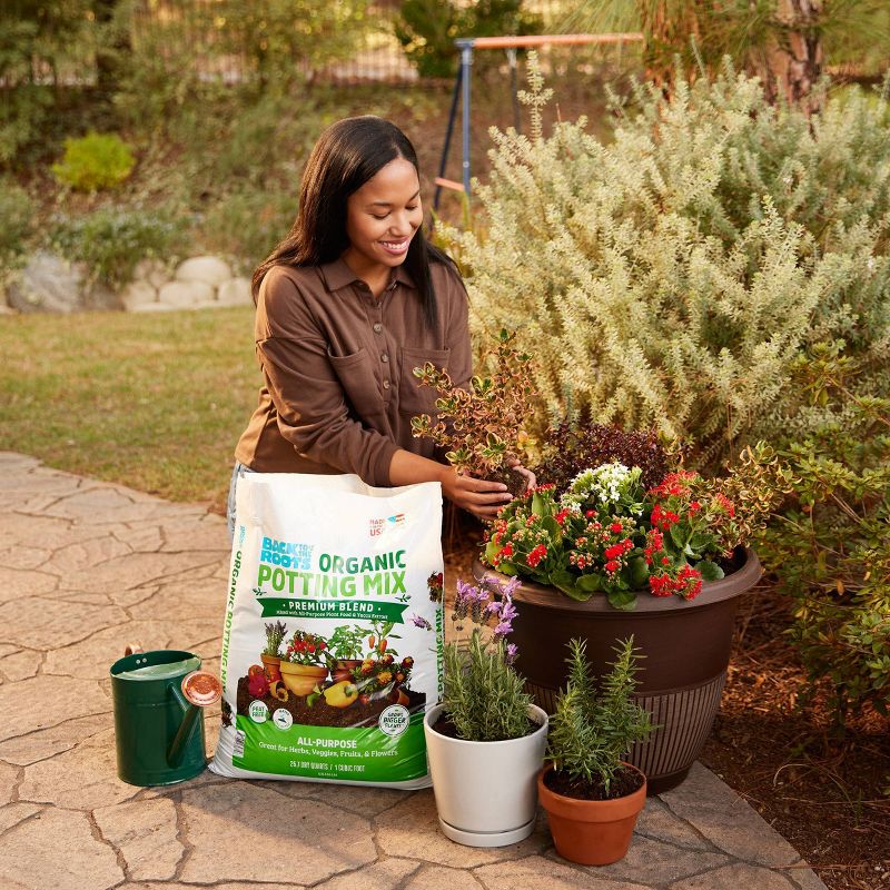 Back to the Roots 25.7qt Organic Potting Mix Premium Blend All Purpose, 3 of 16
