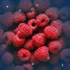 Unisom Simple Slumbers Gummies - Raspberry - 60ct - image 4 of 4