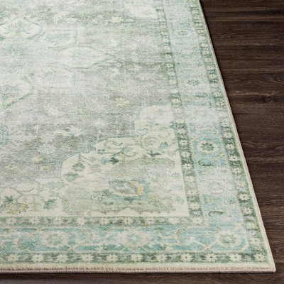 Heiereind Sage and Gray Hand-Knotted Oval Area Rug