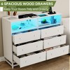 6 Drawer Double Dresser with Power Outlet and LED Light - 4 of 4