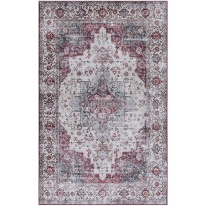 Tucson Vintage Persian TSN105 Power Loomed Machine Washable Skid-Resistant Indoor Rugs - Safavieh - 1 of 4