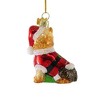 Kurt S. Adler 3.5 Inch Dog In Santa Suit Christmas Best Friend Tree Ornaments - 2 of 3