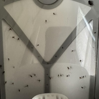 Guest review image 1 of 1, zoom in