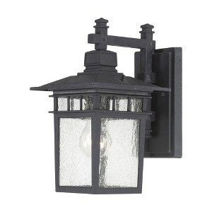 Nuvo Lighting Cove Neck 1 - Light Wall Light in  Textured Black - 1 of 1