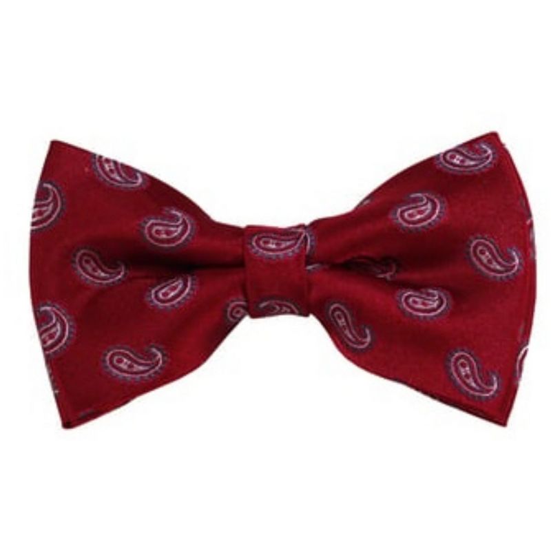Men's Paisley Color 2.75 W And 4.75 L Inch Pre-Tied adjustable Bow Ties, 1 of 3