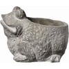 Classic Home and Garden Cement Buddies Indoor/Outdoor Planter with Drainage Hole, Frog - 4 of 4