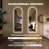 Runesay Silver 65" x 21" Arch Design Full Length Mirror, Full-Length Standing or Wall-Mounted - 4 of 4