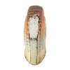 Snail Figure Cast Iron - Foreside Home & Garden - 4 of 4