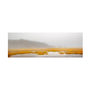 Trademark Fine Art - Brooke T. Ryan Mustard Yellow Salt Marsh Canvas Art - 1 of 4